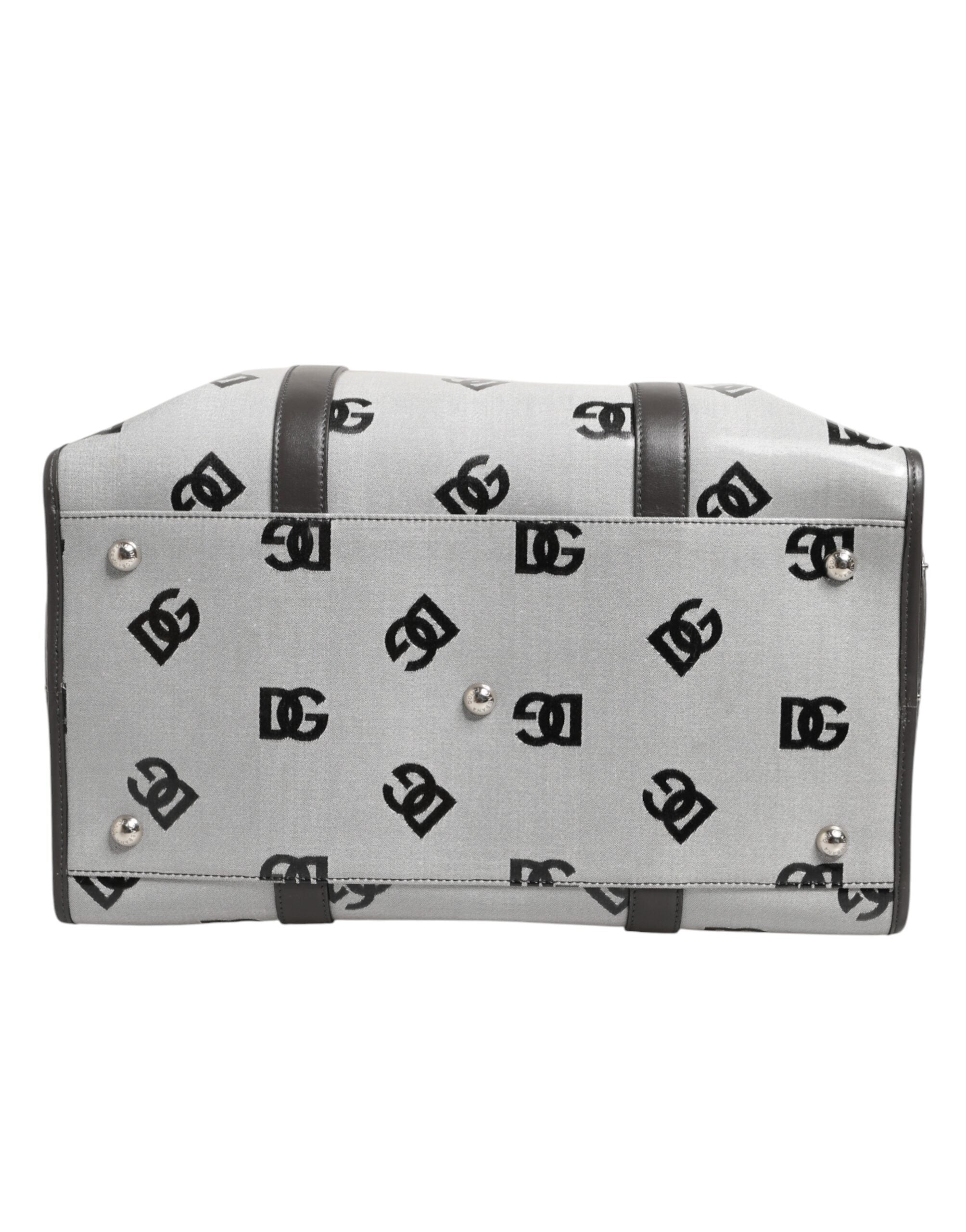 Dolce & Gabbana White DG Logo Pet Carrier Logo Plaque Top Handle Bag